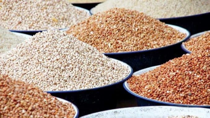Grains